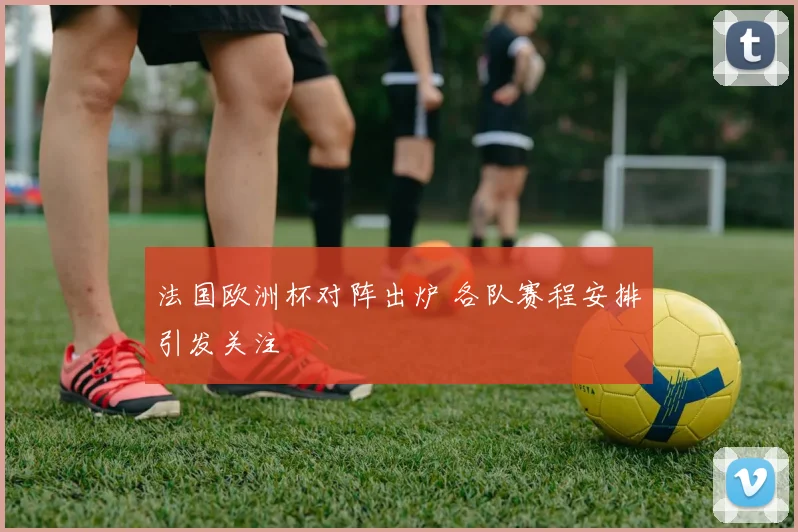 法国欧洲杯对阵出炉 各队赛程安排引发关注