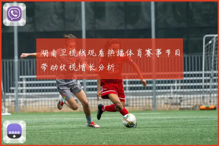 湖南卫视线观看热播体育赛事节目带动收视增长分析