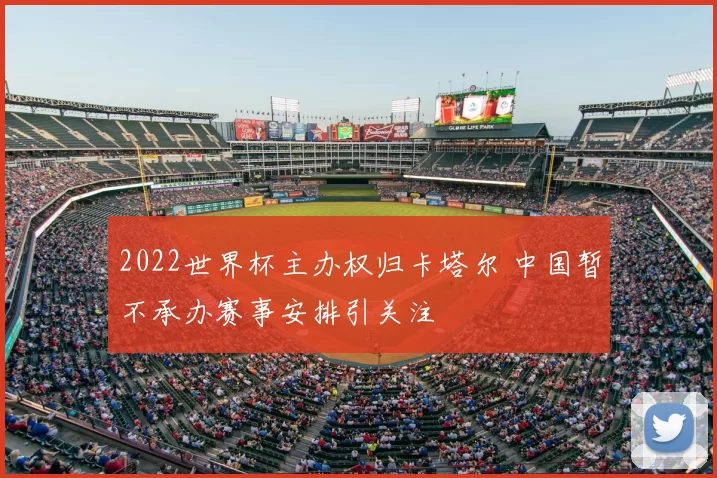2022世界杯主办权归卡塔尔 中国暂不承办赛事安排引关注