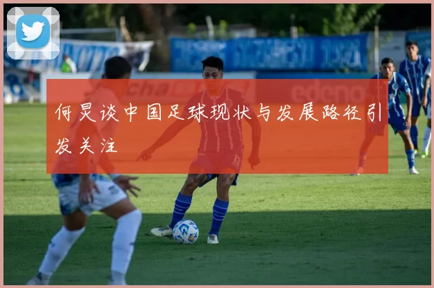 何炅谈中国足球现状与发展路径引发关注