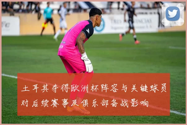 土耳其夺得欧洲杯阵容与关键球员对后续赛事及俱乐部备战影响